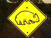 Verkeersbord in Australië dat waarschuwt voor overstekende wombats.