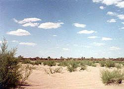 View of the desert