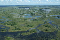 Okavango-Delta