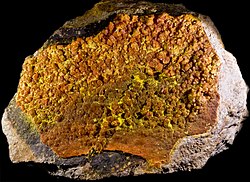 Yellow curienite on bright orange francevillite, in a specimen from their mutual type locality, the Mounana uranium mine, near Franceville. Specimen size: 23x17cm.