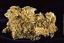 Goldnugget