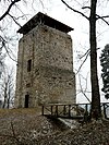 Burg Hohenringingen – Ansicht von Bergfried und Abschnittsgraben