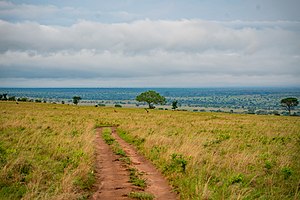 Landschaft im Kidepo-Valley-Nationalpark