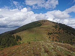 Blick vom Kreuzsattel hinauf zum namenlosen Nebengipfel des Eiblkogels.