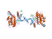 2buj: CRYSTAL STRUCTURE OF THE HUMAN SERINE-THREONINE KINASE 16 IN COMPLEX WITH STAUROSPORINE