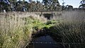 Culvert, mostly hidden by grass