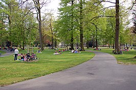 Het park