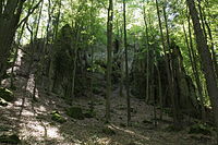 Bild 2: Ansicht der Spornspitze des Naturdenkmals Kuhfelsen (August 2013)