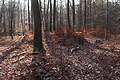 Prähistorisches Hügelgrab auf dem Höhenrücken Beurenkern bei Treis-Karden