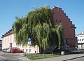 Sogenannte Jahnhalle, Turn- und Stadthalle