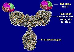 Infliksymab