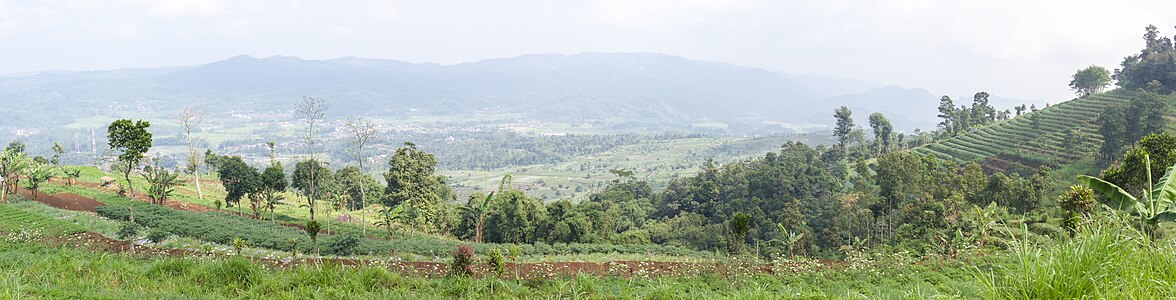 Panoramic view of the area below Candi Gedong Songo