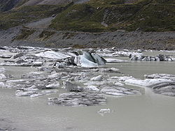 Gletschersee mit Eisblöcken am Fuße des Mount Cook