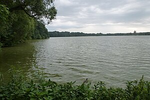 Stausee Glauchau, Nordufer, Blickrichtung Süden