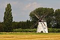 46. Platz: Windmühle am Bungenstedter Turm vor Wolfenbüttel-Halchter