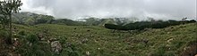 A view of mountains near Barberton in Mpumalanga. The image shows rocks in the foreground and steep, grassy green mounains covered in mist at their peaks.