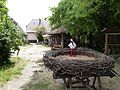 Visitor center with a reconstructed nest