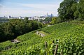 Blick über den Weinberg auf Seckbach, Bornheim, Sachsenhausen und die Innenstadt