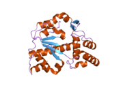 2ad1: Human Sulfotransferase SULT1C2