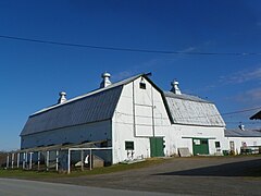 Cow barn