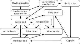 Arctic food web.svg 21:51, 26 September 2014