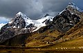 Image 17Herds of alpacas near Ausangate mountain (from Andes)