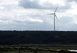 Windturbine in Kouga (Coega Industrial Development Zone), Oost-Kaap (Zuid-Afrika), ontwikkeld door Electrawinds