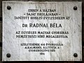 Radnai Béla, Egyetem tér 5.