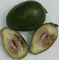 Two feijoas.