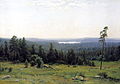 The Forest distant views, 1884