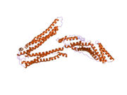 2oev: Crystal structure of ALIX/AIP1