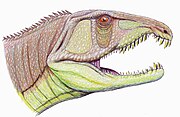 Sarmatosuchus