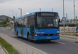 258-as busz a Péterhegyi úton