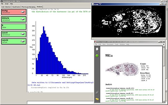 GemIdent analyzing results using data analysis and visualization tools