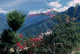 Coroico in the Yungas region.