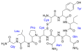 Vorschaubild der Version vom 16:35, 16. Nov. 2009