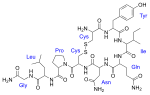 صورة SVG جديدة