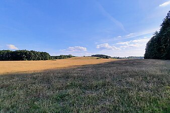 Ehemalige Feldmark bei Marienhof