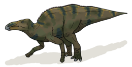 A Shantungosaurus rekonstrukciója