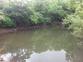 Pond on the fort