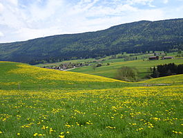 Looking across the fields toward Pontenet village