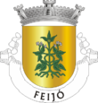 Vlag van Feijó