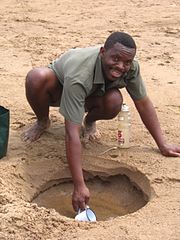 Collecting water from the sand