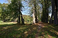 Park przypałacowy