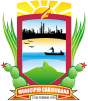 Official seal of Punto Fijo