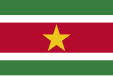 Flag of Suriname (two bars vert)