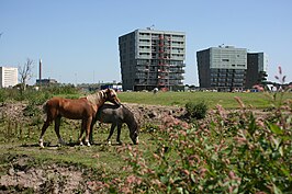 Park Groot Zandveld een jaar voor de opening.