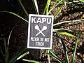 Kapu sign prohibiting from touching a plant