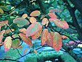 Herbst am Venner Moor