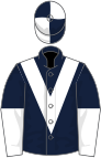 Dark blue, white chevron, halved sleeves, quartered cap